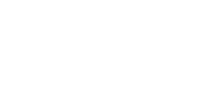 logo-endesa-blanco-web